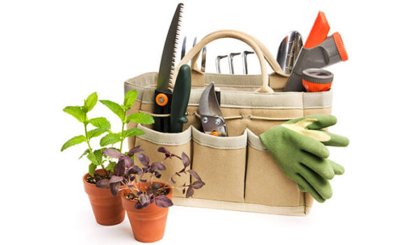 Diversos produtos para jardinagem